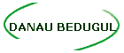 DANAU BEDUGUL